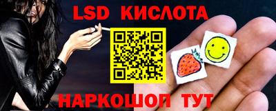твердый Будённовск