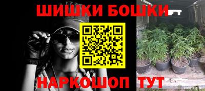 твердый Будённовск